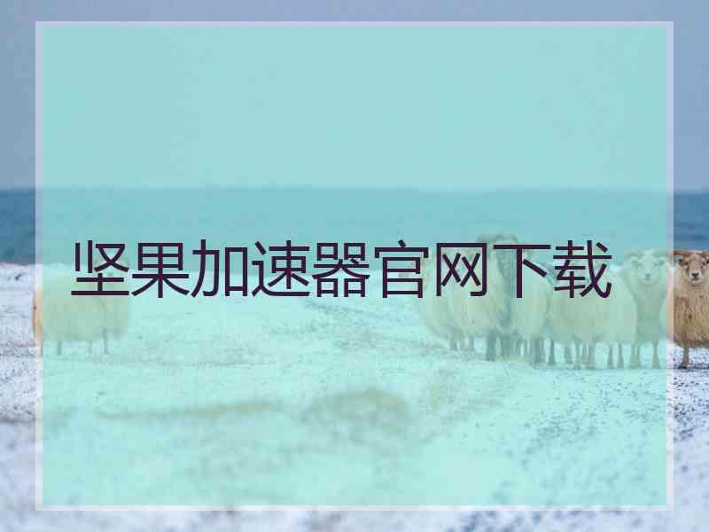 坚果加速器官网下载