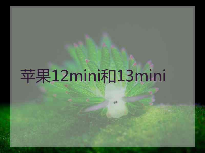 苹果12mini和13mini