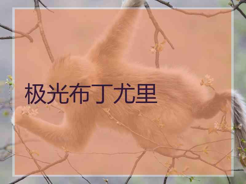极光布丁尤里