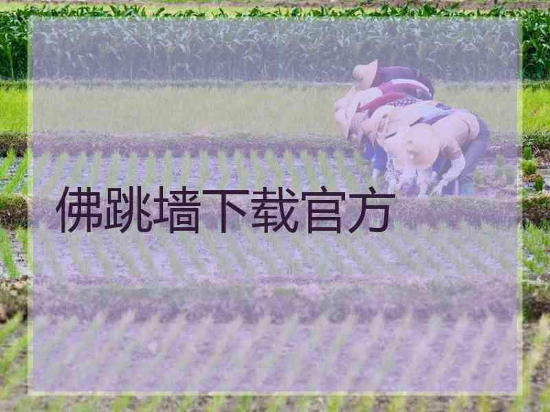 佛跳墙下载官方