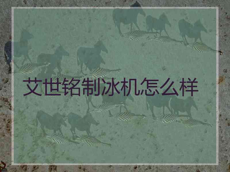 艾世铭制冰机怎么样