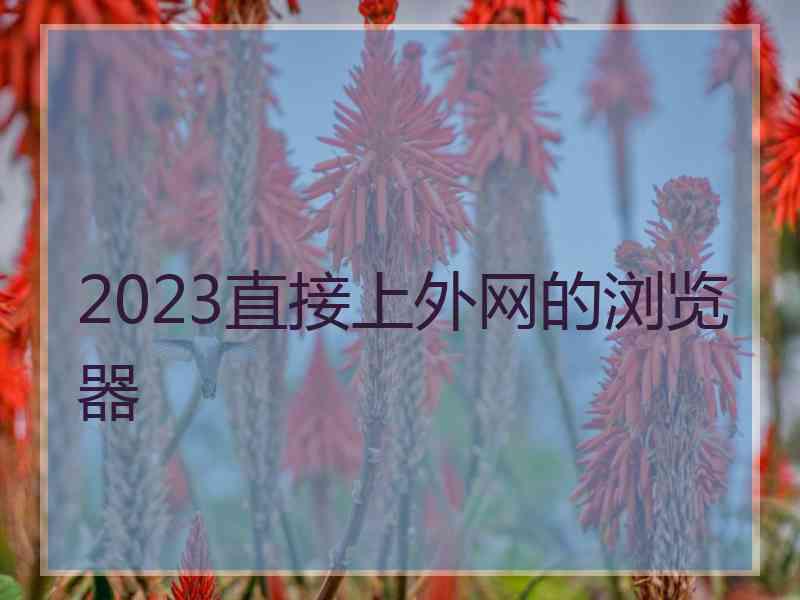 2023直接上外网的浏览器