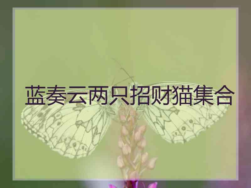 蓝奏云两只招财猫集合