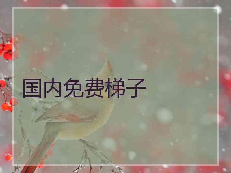 国内免费梯子