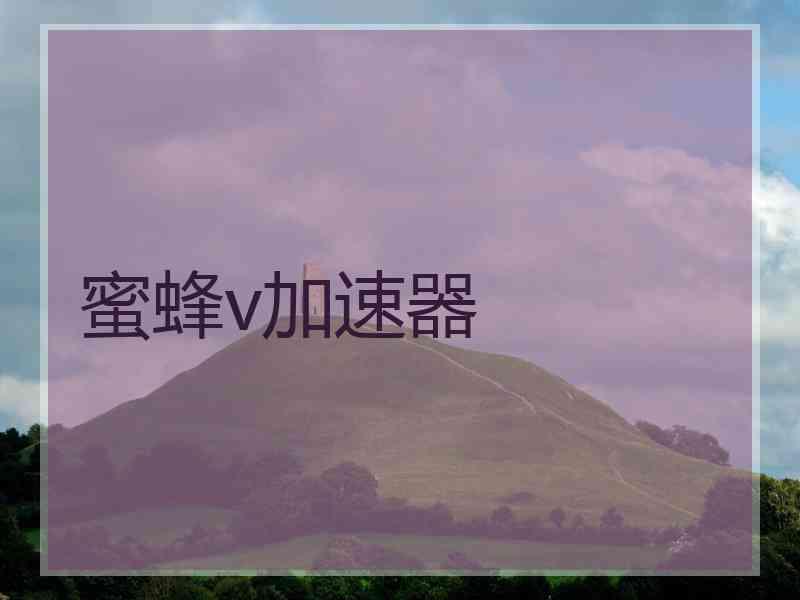 蜜蜂v加速器