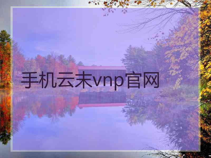 手机云末vnp官网