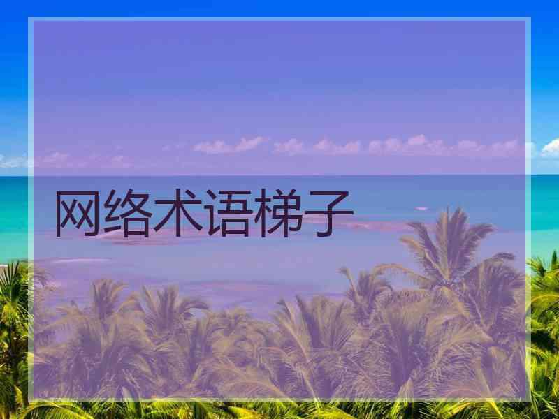 网络术语梯子
