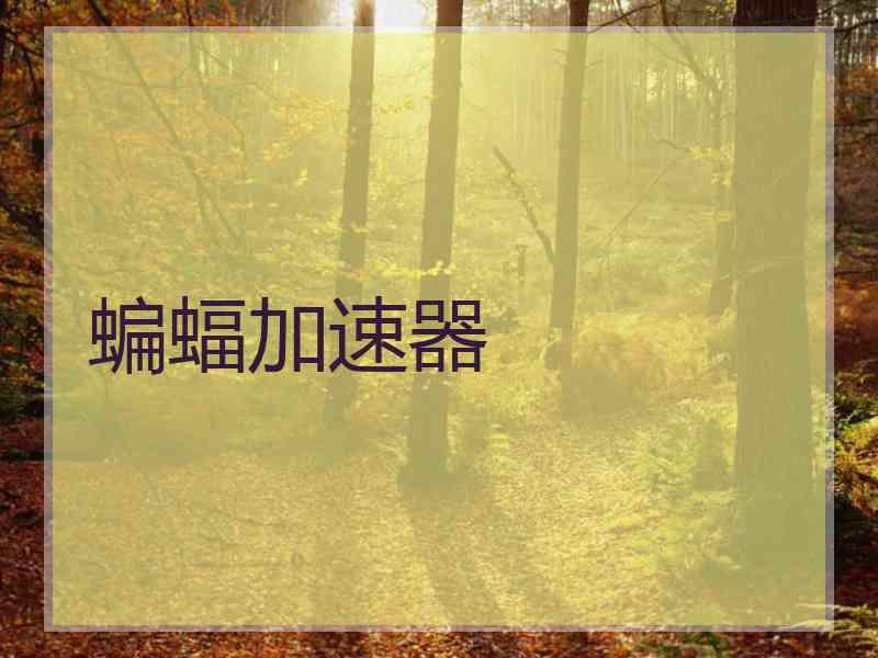 蝙蝠加速器