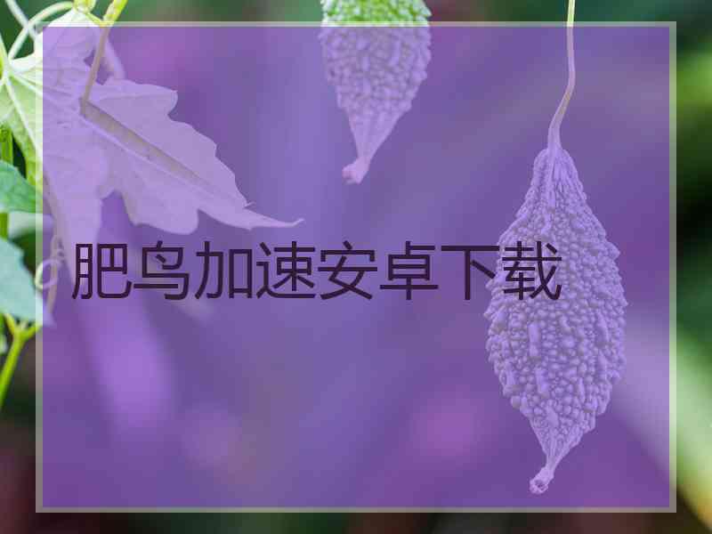 肥鸟加速安卓下载