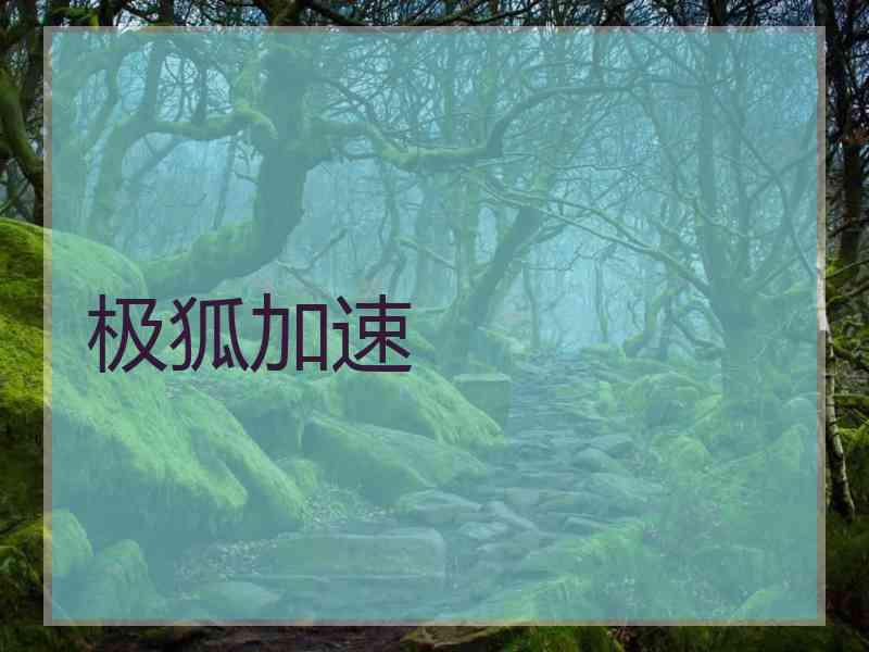 极狐加速
