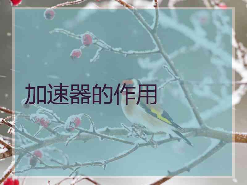 加速器的作用