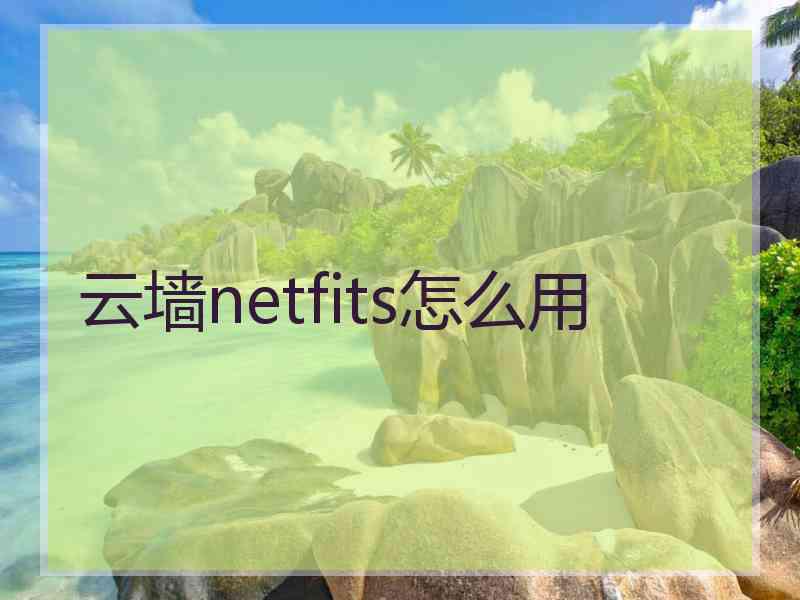 云墙netfits怎么用