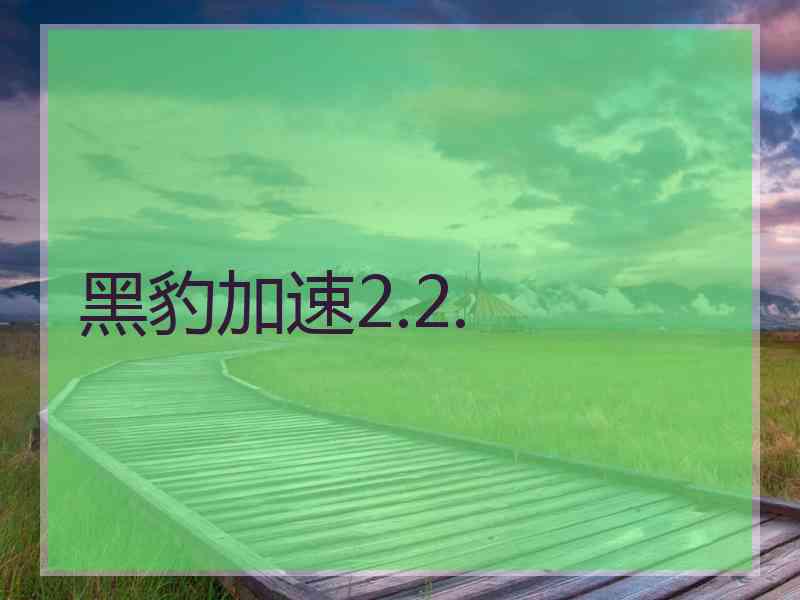 黑豹加速2.2.