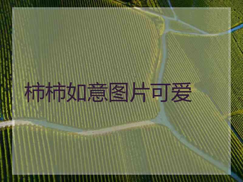 柿柿如意图片可爱