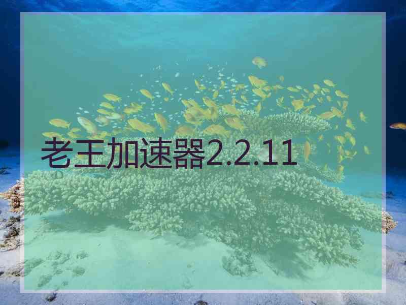 老王加速器2.2.11