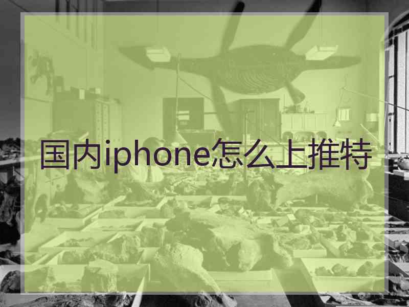 国内iphone怎么上推特