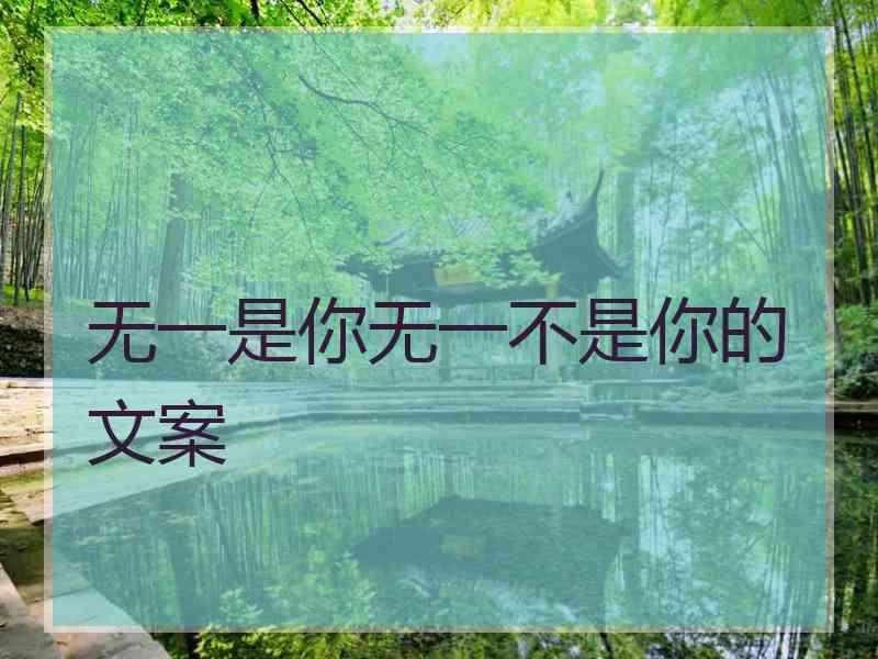 无一是你无一不是你的文案
