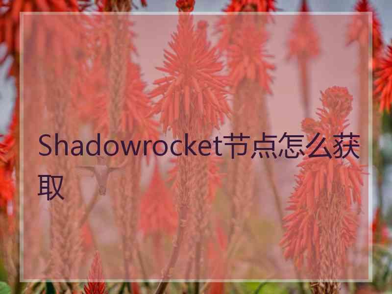 Shadowrocket节点怎么获取