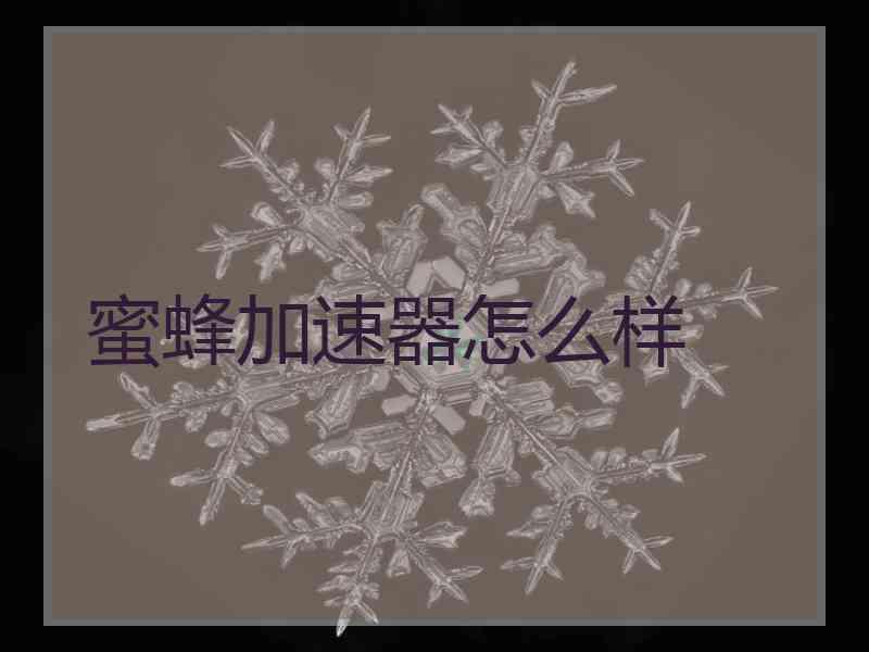 蜜蜂加速器怎么样