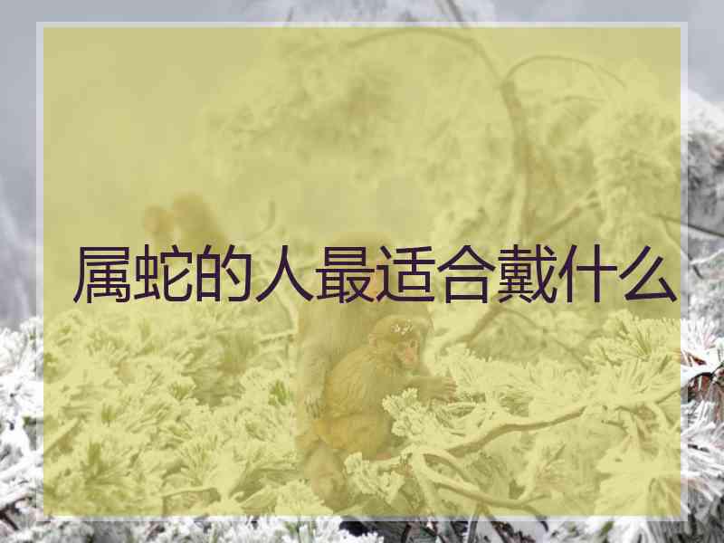 属蛇的人最适合戴什么