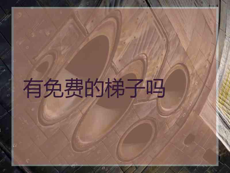 有免费的梯子吗