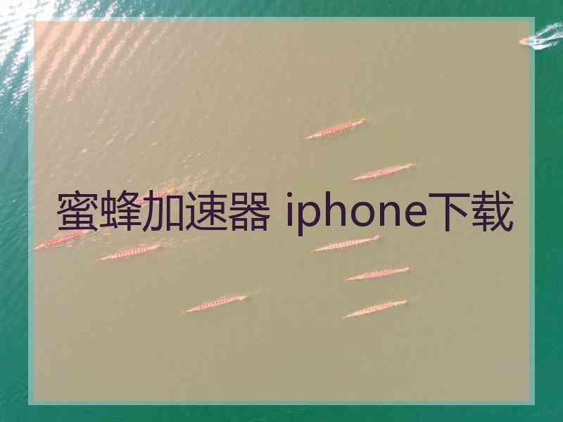 蜜蜂加速器 iphone下载