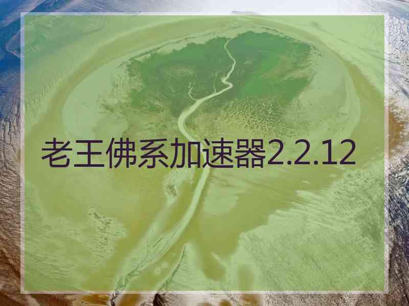 老王佛系加速器2.2.12