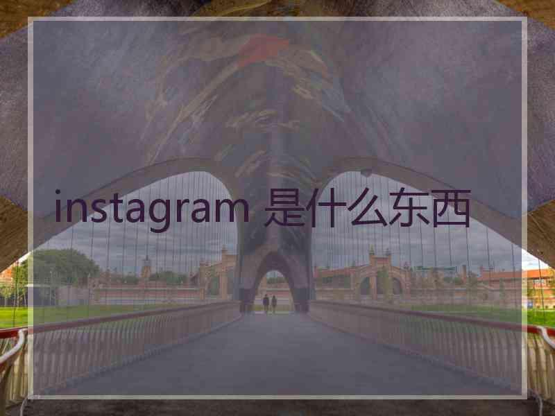 instagram 是什么东西