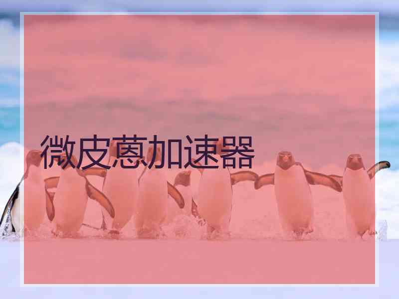 微皮蒽加速器