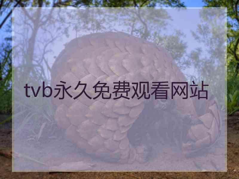 tvb永久免费观看网站
