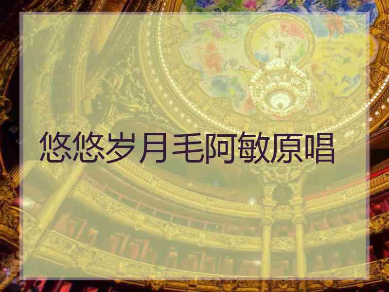悠悠岁月毛阿敏原唱