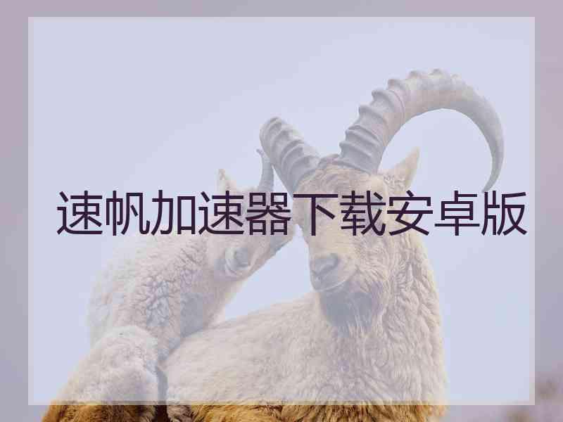 速帆加速器下载安卓版