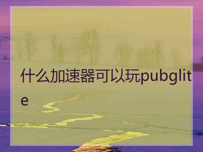 什么加速器可以玩pubglite
