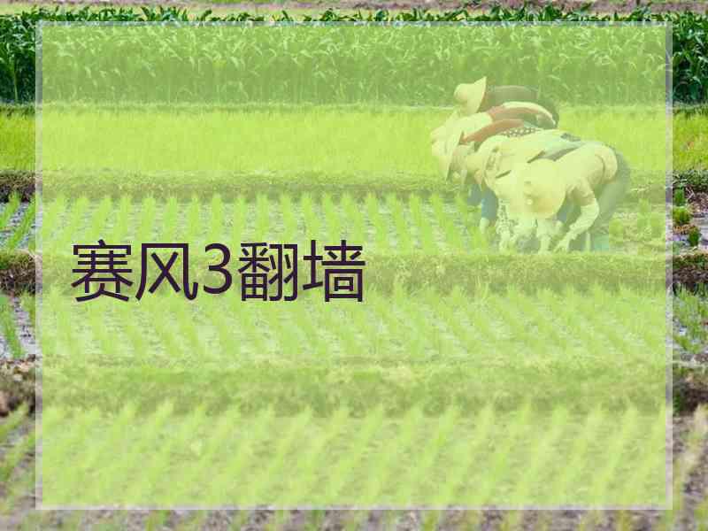 赛风3翻墙