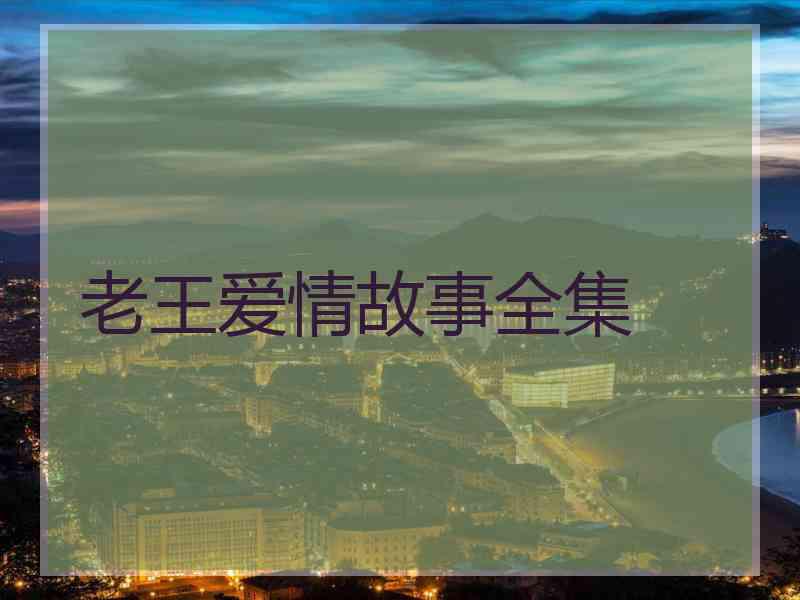 老王爱情故事全集