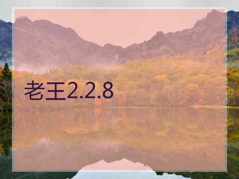 老王2.2.8
