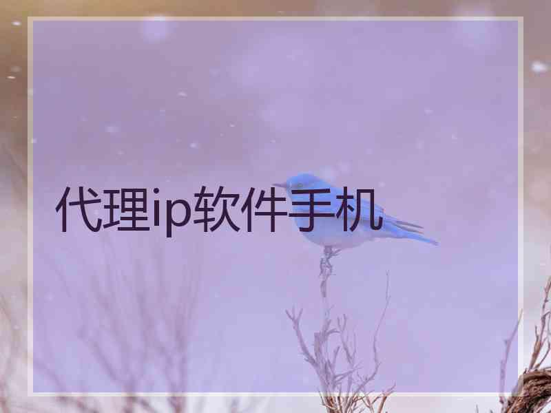 代理ip软件手机