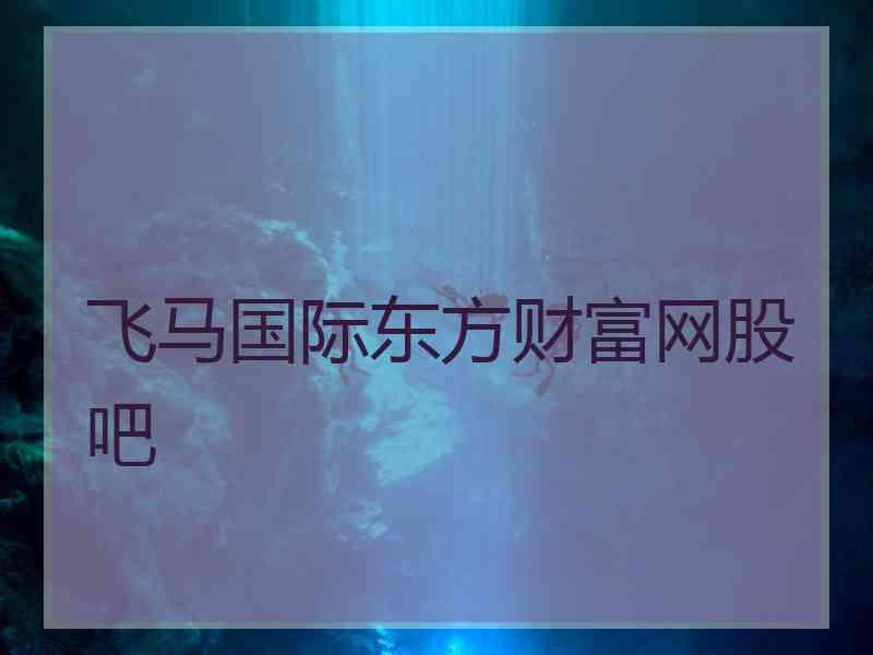 飞马国际东方财富网股吧