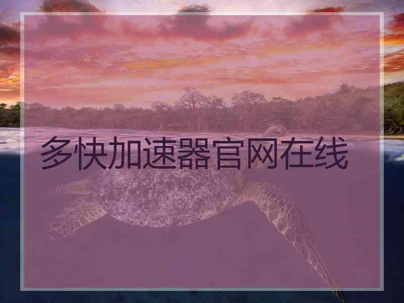 多快加速器官网在线
