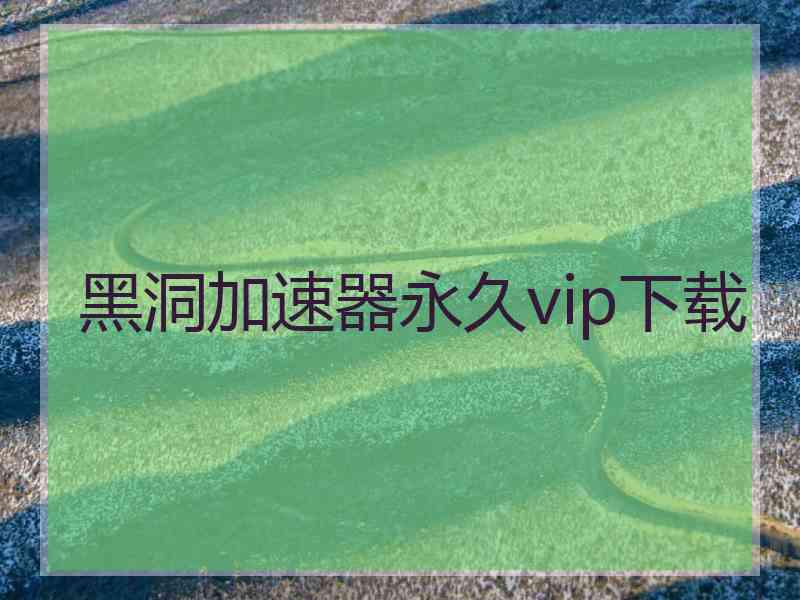 黑洞加速器永久vip下载