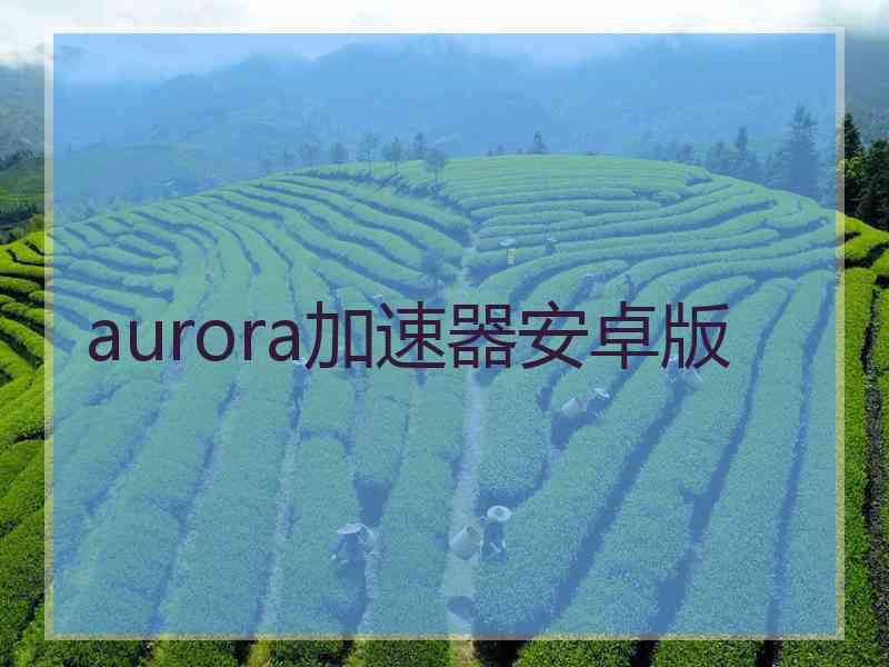 aurora加速器安卓版