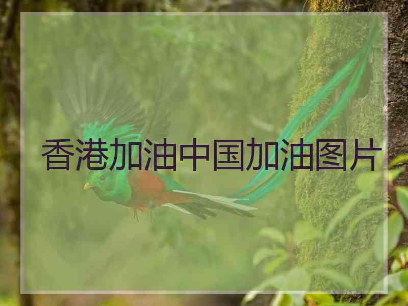香港加油中国加油图片