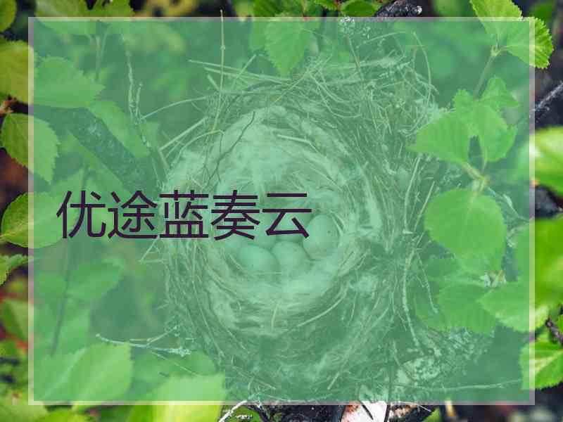 优途蓝奏云