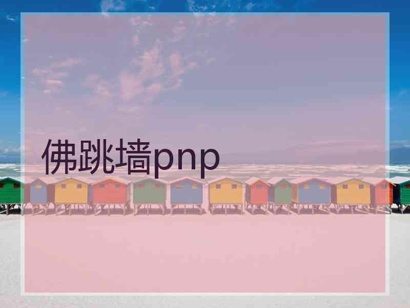 佛跳墙pnp