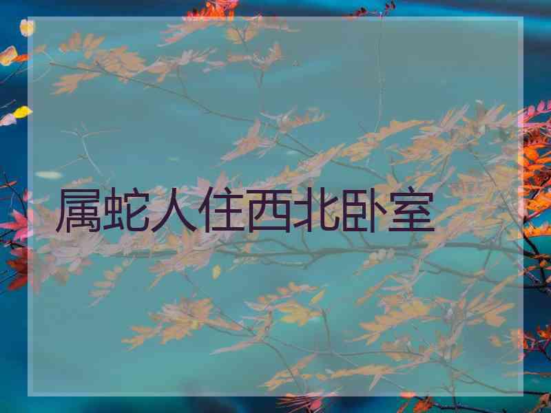 属蛇人住西北卧室