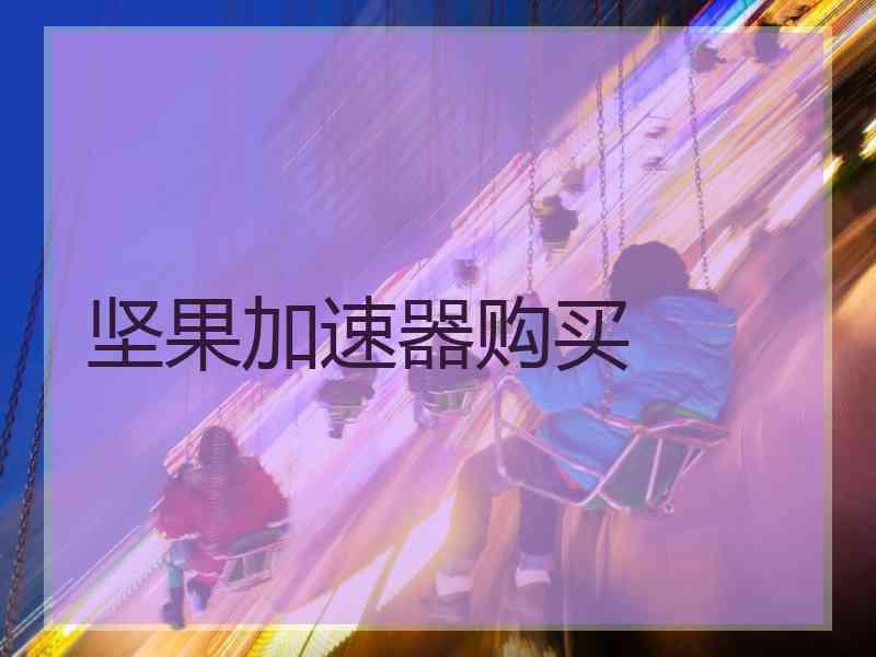 坚果加速器购买