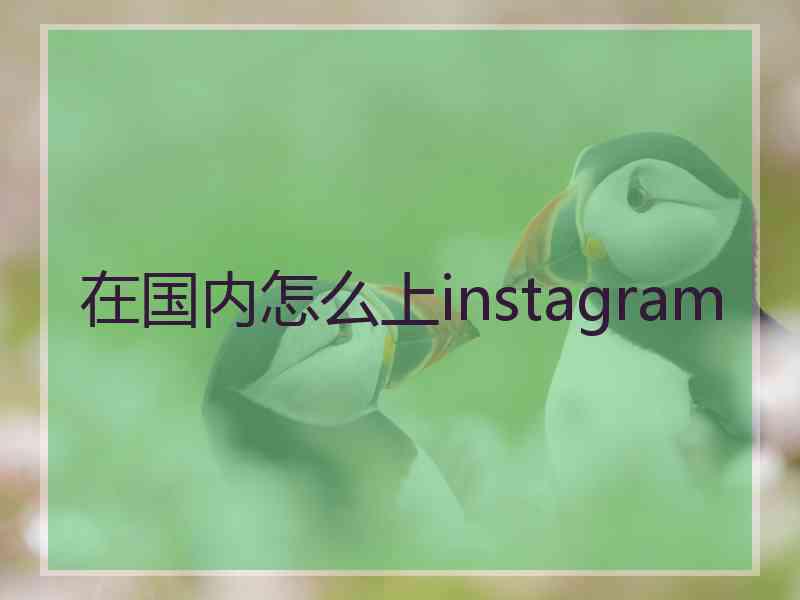 在国内怎么上instagram