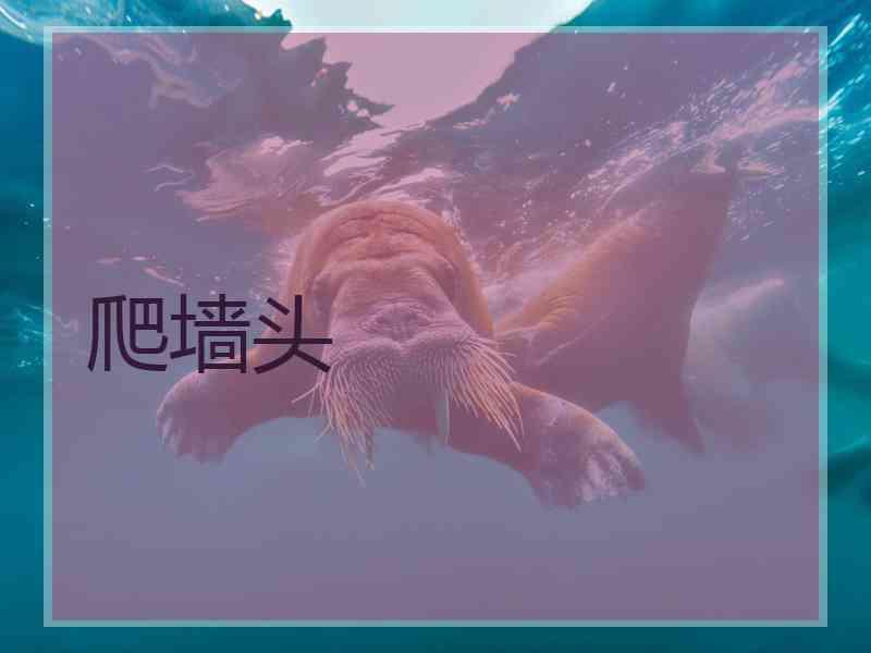 爬墙头