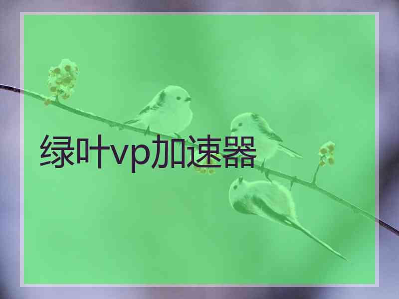 绿叶vp加速器