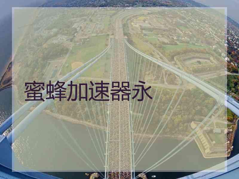 蜜蜂加速器永